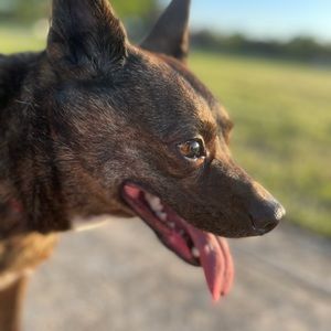 Meet your Posher, Jada